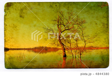 grunge background 4844380