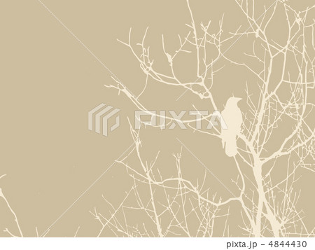 crow silhouette on brown background, vector illustration crow silhouette on brown background, vector illustration 4844430