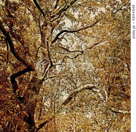 grunge background 4844946