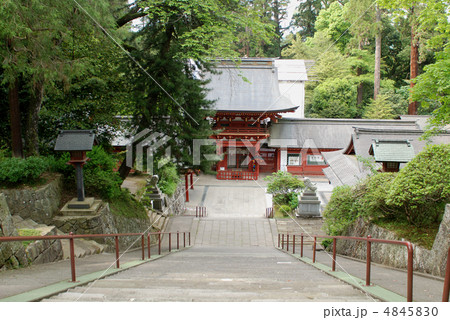貫前神社　群馬富岡 4845830