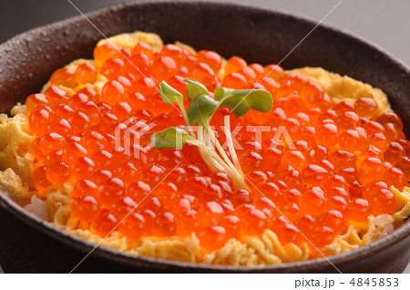 いくら丼 4845853