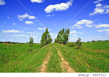 rural road rural road 4847512