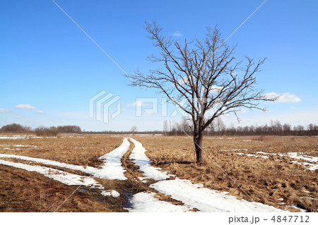 snow road snow road 4847712