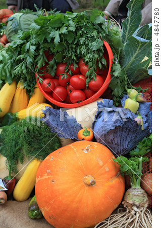 vegetables on rural market vegetables on rural market 4847780