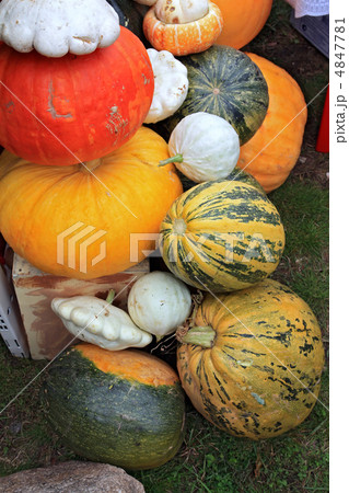 vegetables on rural market vegetables on rural market 4847781