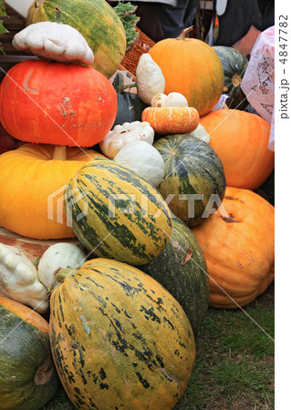vegetables on rural market vegetables on rural market 4847782