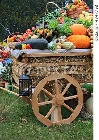 cart with vegetable on rural market 4847793