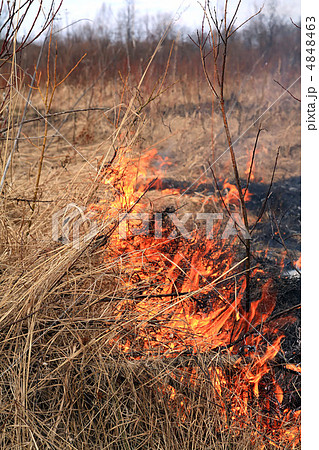 fire in herb fire in herb 4848463