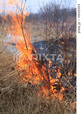 fire in herb fire in herb 4848464