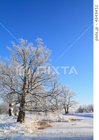 winter landscape winter landscape 4849452