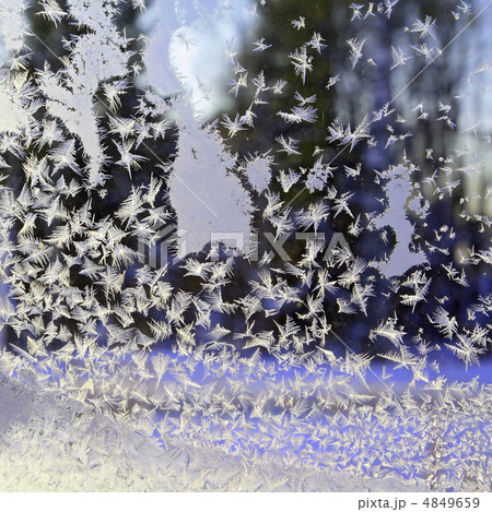 ice crystal on winter window 4849659