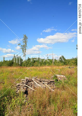 chopping wood chopping wood 4849758