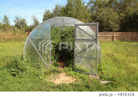 small hothouse amongst green herb small hothouse amongst green herb 4850326