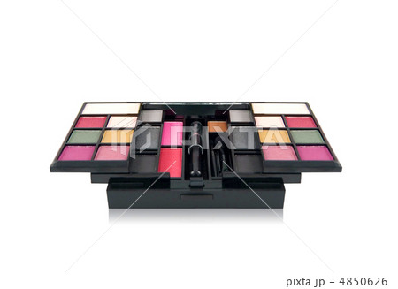 Make-up palette isolated on white background 4850626