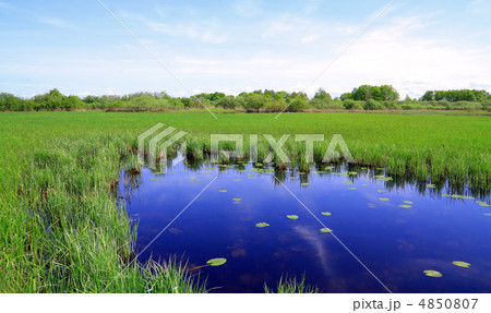 small lake on spring field small lake on spring field 4850807