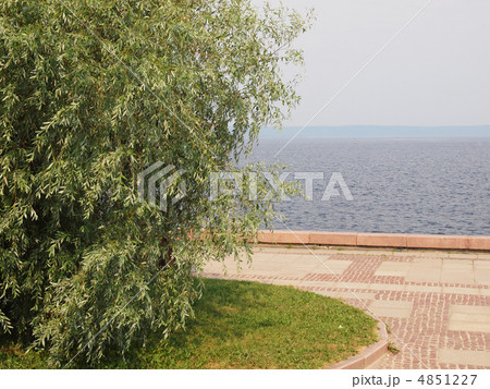 Tree on coast of lake Tree on coast of lake 4851227