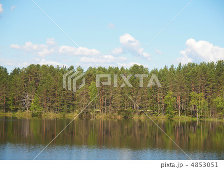 Coast of lake 4853051