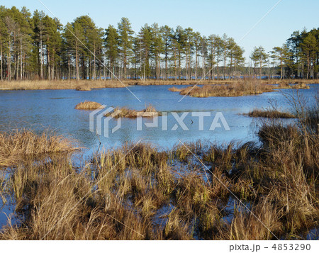 Coast of lake Coast of lake 4853290