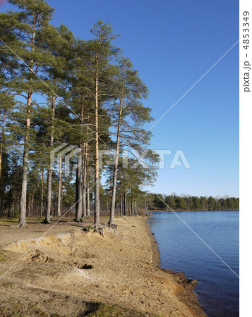 Coast of lake 4853349