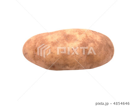 potatoes on a white background potatoes on a white background 4854646