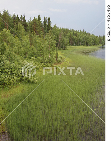 Coast of the river in the spring. Karelia, Russia Coast of the river in the spring. Karelia, Russia 4855495