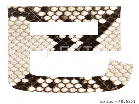 巳 うろこ模様 巳 うろこ模様 4856851