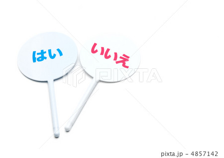 アンサープレート　はい　いいえ 4857142