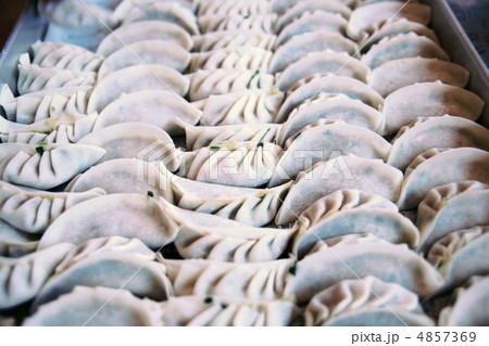 生餃子 生餃子 4857369