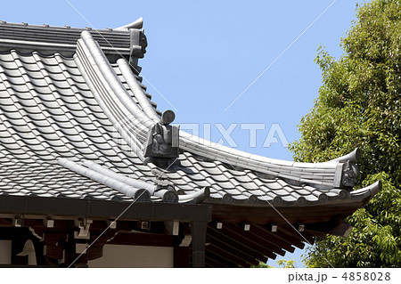 嵯峨野散策　寺巡り　遍照寺 4858028