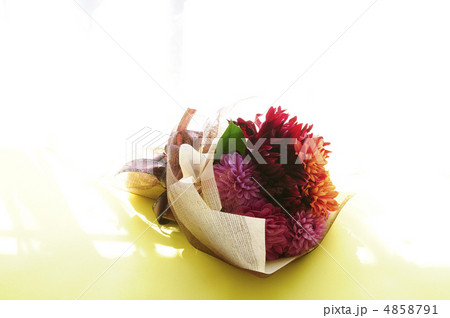 ダリアのブーケ 4858791