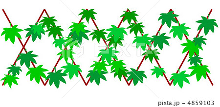 緑のカーテン 4859103