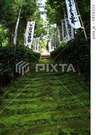 杉本寺 杉本寺 4859333