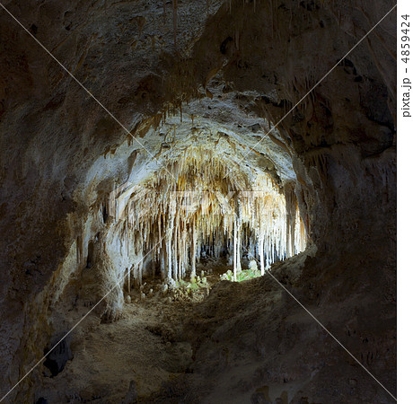 Carlsbad Cavern 4859424