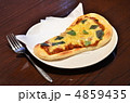 ナンピザ 4859435