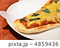 ナンピザ 4859436