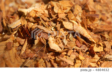 tobacco 4864632
