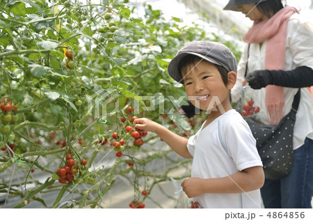 食育 食育 4864856