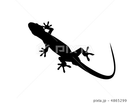 ヤモリのイラスト素材