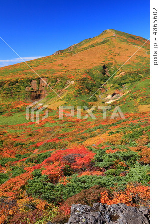 神の絨毯　日本一美しい山岳紅葉で知られる花の百名山、栗駒山（須川岳） 4865602