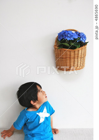 紫陽花と男の子 4865690