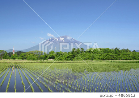 岩手山と水田 4865912