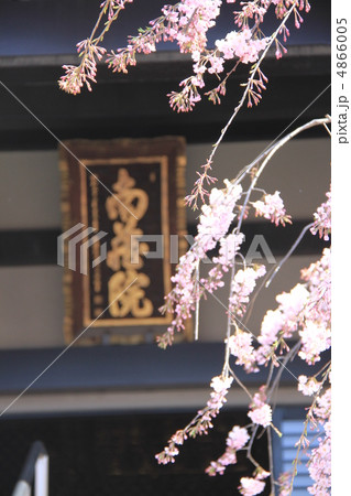 南蔵院 南蔵院 4866005