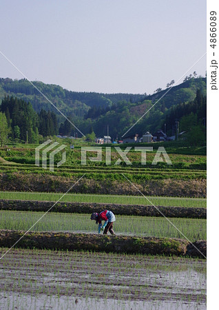 田植え 4866089