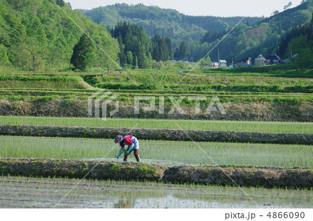 田植え 4866090