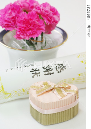 母の日のプレゼント 母の日のプレゼント 4866782