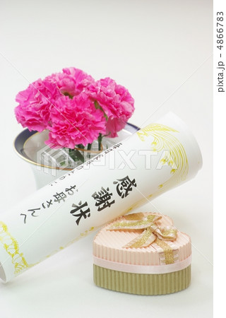 母への感謝状 4866783