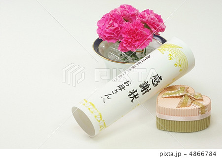 母の日のプレゼント 4866784