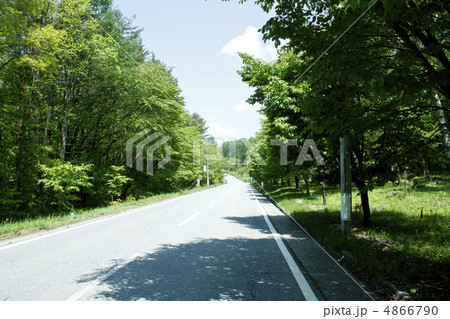 道の木陰 道の木陰 4866790