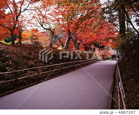 秋の月見坂 4867307