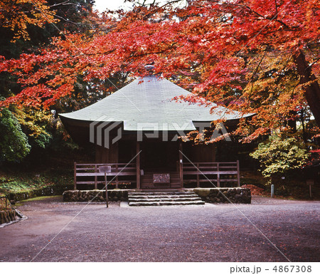 紅葉と経蔵 紅葉と経蔵 4867308